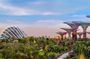 Gardens by the Bay & Marina Bay SkyPark with 2 Way Transfer