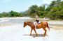 Horse Back Riding and Blue Hole Ocho Rios Private Tour