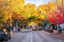 McLaren Vale and Hahndorf Tour (Lunch & Tastings included)