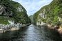 Tsitsikama National Park Day Tour from Port Elizabeth