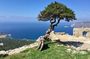 Island Tour of Rhodes