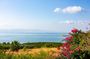 Galilee Full Day Tour from Jerusalem