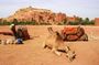2 Day Excursions Marrakech Merzouga Erg Chebbi Camel Trek 2 Days 1 Nights Luxury