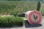 Small group Tuscan Wineries, Olive Oil & Gourmet Lunch or Dinner