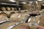 Cotes du Rhone Wine Tour (9:00 am to 5:15 pm) - Small Group Tour from Lyon