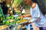 Healing Guided Nature Experience and Waterfall Brunch in Jamaica