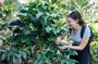 Coffee, Chocolate and Textile Tour in Lake Atitlan