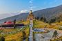 Highlights of Pelling with Budha Park (Guided Fullday Sightseeing Tour by Car)