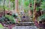 Wakayama: Kumano Kodo Sacred Walk to Nachi’s Sacred Sites
