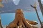 Private Full Day Tour From Dushanbe to Iskandarkul