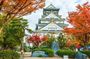 Osaka Castle Admission Ticket