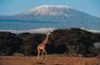 6 days Marangu RouteMount Kilimanjaro Trekking