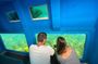 Underwater viewing tours along the coast of Sesimbra