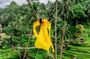Ubud Private Tour Monkey Forest