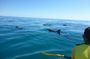 Noosa: Epic Private Tour - Double Island Point Day Adventure