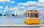 Busan Top Coastal Highlights with Gamcheon Village & Sky Capsule