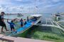 Mactan Cebu Island Hopping with lunch | Joiners Tour