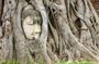 Ayutthaya Easy Family Tour : UNESCO World Heritage