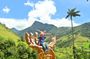 Private Tour Charm of Cocora Valley Salento and Philandia