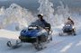 Full Day Private Snow Mobile in Carpathain Mountains