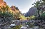 Private Safari Wadi Qunai and Three Pools Tour with Pickup
