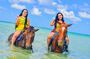Horseback Ride and Swim Experience Montego with Transportation