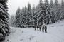 Full-day Vitosha Mountain Snowshoe Hiking Tour from Sofia