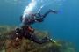 Double Dive Baptism in San Vicente, Cape Verde