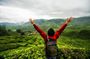 Private Nature Trip to Cameron Highlands from Kuala Lumpur