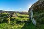 Dalriada & Kilmartin – Private Archaeological Heritage Shore Tour