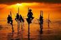 12 Days All-Inclusive Classic Tour in Sri Lanka