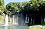 Fuji Nature Customized Private Tour by Car with Licensed Guide