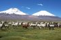 Private Lauca National Park & Chungara Lake from Arica