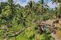 All Inclusive Ubud Experience