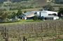The REAL Hunter Valley Tour