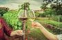 Private Luxury Tour: Ancient Nemea & Top Wine Tasting Experience