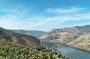 Discover Authentic Douro Tour