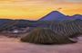 Bromo Ijen Bali tour From Surabaya (2Days)