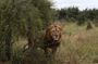 Luxury Okavango Safari - 3 Day