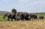 9-Day Best Rwanda Safari Gorillas, Big Five, Nyungwe & Lake Kivu
