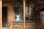Your unique photo session in Tblisi, Georgia