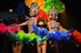 Samba Show with Dinner Option