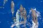 All-inclusive Elite VIP Dolphin House with Massage & Water Sport