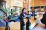 PRIVATE Wine Tour in Central Bekaa Valley