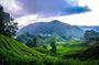 Package B Cameron Full Day Discovery Private Tour