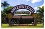 Appleton Estate Rum Private Tour