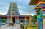 Discover Nadi Tour