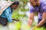 Ceylon Tea Tour (5 Days)