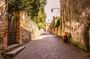 From Padua: Tour to Arquà Petrarca, the medieval village