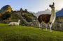 Private 2 Day Short Inca Trail to Machu Picchu